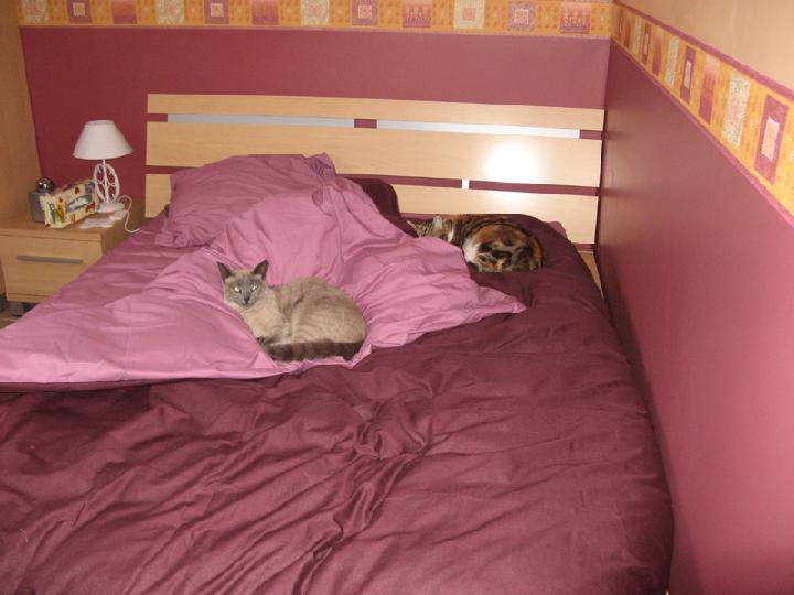 2008-03 Mia-Saphir 002.JPG